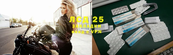 индика Алзамай