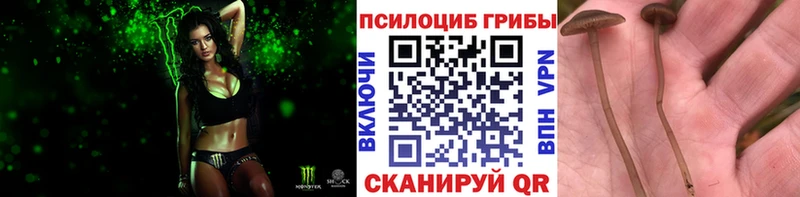 Псилоцибиновые грибы MAGIC MUSHROOMS OMG ссылка Кочубеевское
