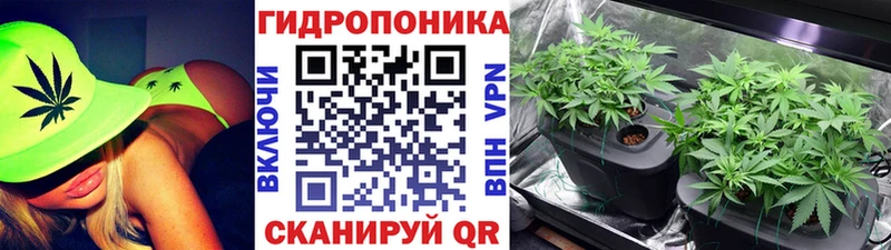 Шишки марихуана Amnesia  ОМГ ОМГ tor  Кочубеевское 
